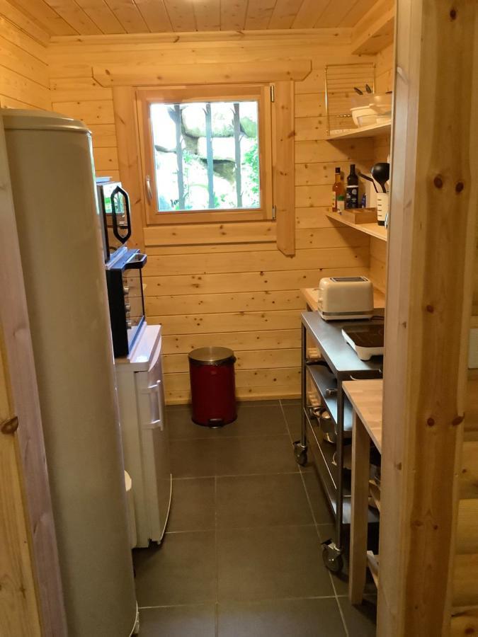 Chalet Les Sorbiers Egat Экстерьер фото