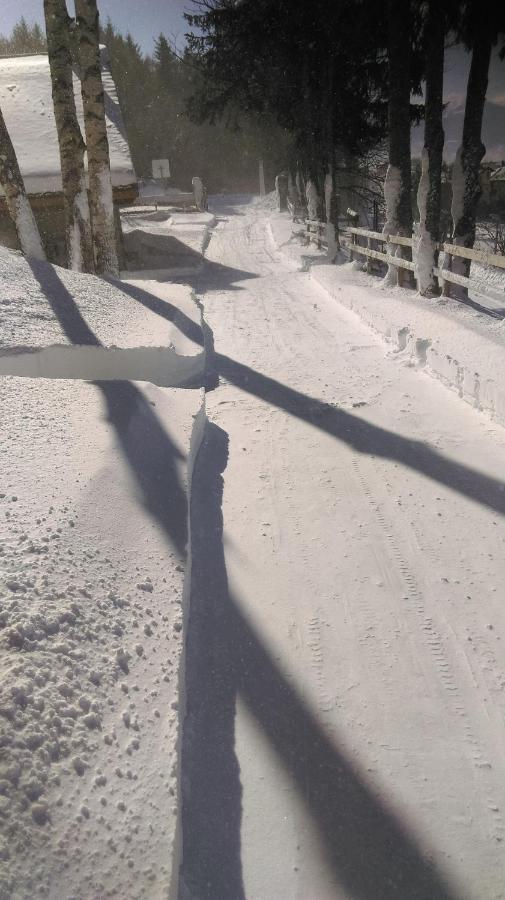 Chalet Les Sorbiers Egat Экстерьер фото